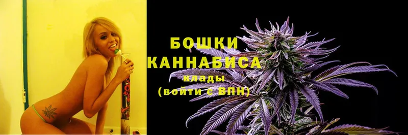 Каннабис White Widow  Бородино 